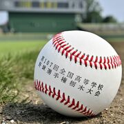 作新、国学院栃木など準決勝進出　高校野球栃木大会第９日　宇都宮、幸福は敗退