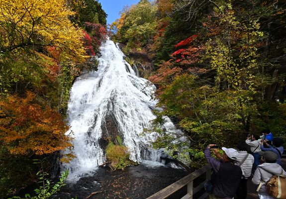 見頃を迎えている湯滝の紅葉＝18日午前11時50分、日光市湯元