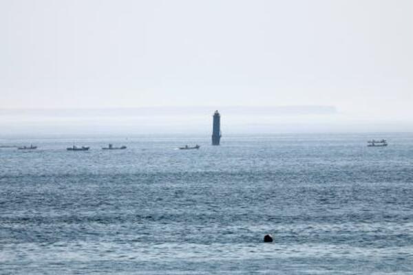北方領土・歯舞群島の貝殻島付近の漁場でコンブ漁をする漁船=1日午前7時35分