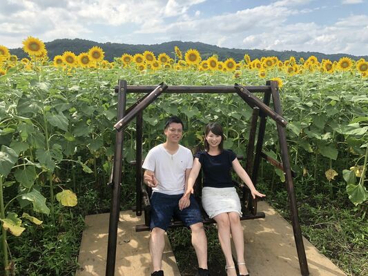昨夏、益子のひまわり祭りで設置されたブランコ（益子町生涯学習課提供）