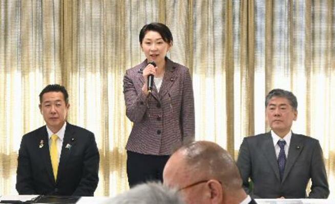 　自民党沖縄振興調査会の会合で発言する小渕優子会長（中央）＝１８日午前、東京・永田町の党本部