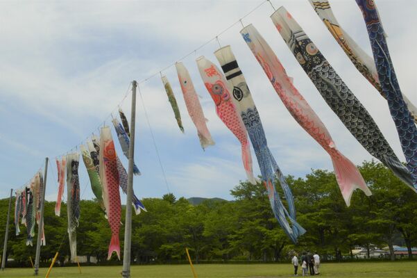 根古屋森林公園内に泳ぐ色とりどりのこいのぼり