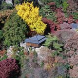 葛飾北斎が描くほどの絶景　「関東の高野山」で紅葉見頃ピークに　足利の行道山浄因寺