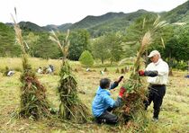 土呂部で茅ボッチ作り大詰め　日光