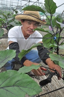 ＜96＞出荷のピーク迎えるナス　夏を彩る“万能野菜”　幅広い調理で魅力発揮