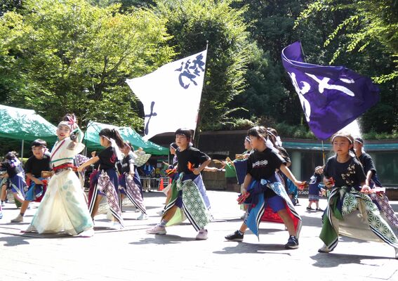 力強い演舞を披露する城山中央小の児童