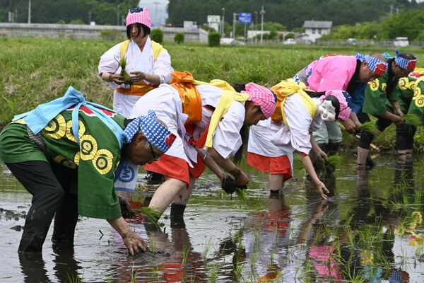 丁寧に苗を植え付ける早乙女や田男