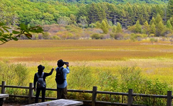 小田代原を赤や黄色に染める草紅葉＝７日午前８時50分、日光市中宮祠、磯真奈美撮影
