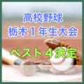 高校野球1年生大会栃木県大会 作新、国学栃木、那須拓陽、文星付が4強入り 15日に準決勝・決勝
