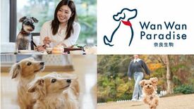 亀の井ホテル 大和平群 2026年4月11日(土)「わんわんパラダイス…