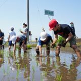 青空の下、田植え　大平中央小児童が体験