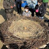 コウノトリの巣作り体験　小山の交流館で初開催