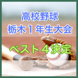 高校野球1年生大会栃木県大会 作新、国学栃木、那須拓陽、文星付が4強入り 15日に準決勝・決勝