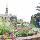 あの世界遺産を植栽で表現　壬生・わんぱく公園で10月まで特別展示