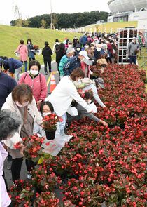 国体ロイヤルボックスの飾り花配布