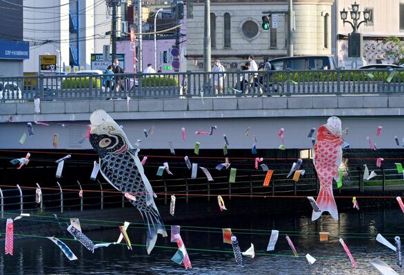 宮の橋近くの田川に飾られたこいのぼり＝２日午後５時25分、宇都宮市駅前通り１丁目