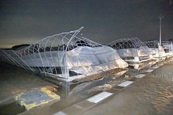 突風でつぶされたとみられるビニールハウス＝３日午後７時15分、真岡市長沼