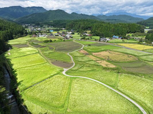 白いソバの花や黄金色の稲穂が田畑を染め分ける長畑地区＝18日午前11時40分、日光市長畑、ドローンから