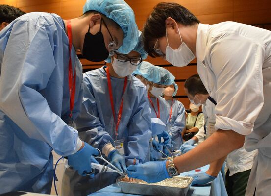 医師の指導を受けながら超音波メスを体験する中学生ら＝19日午後、宇都宮市竹林町
