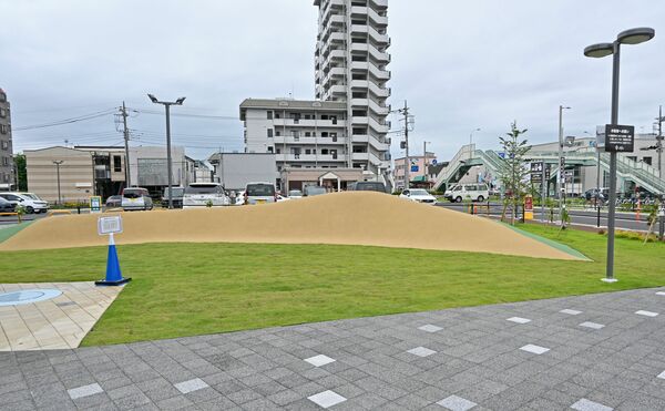 広々とした芝生敷きの公園