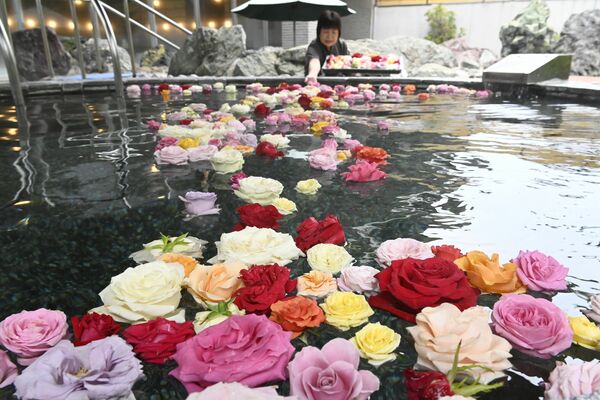 女湯の露天風呂で行われている「バラ風呂」