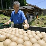 夏の夜空に円安の余波、花火大会準備に影響　原料高騰で栃木県内主催者も腐…
