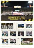 阪神タイガース 2025 JERAセントラル・リーグ優勝記念 フレーム切手セット 発売決定！