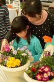 県南お薦め花スポット
