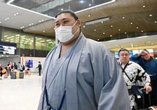 大の里、琴桜らパリ到着