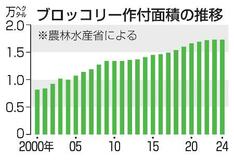 ブロッコリーを国の指定野菜に