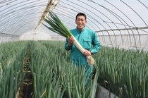 ＜93＞知名度高まる「白美人ねぎ」　辛み少なく軟らか食感　ブランド支える団結力