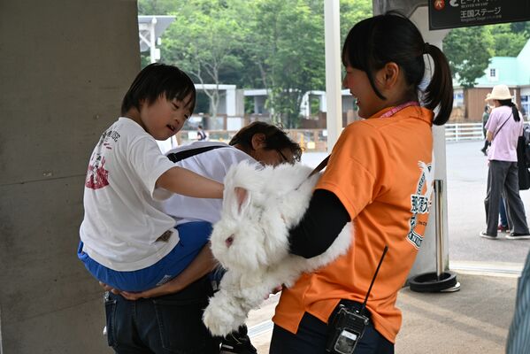 ウサギと触れ合う来場者