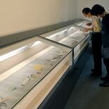 伊藤若冲の「菜蟲譜」目玉に　佐野市吉澤記念美術館20周年で企画展