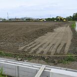佐野にバイオマス発電所建設へ　関電出資会社が計画、2028年9月稼働予…