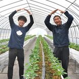 ０から農業、開始１年　日光の若手イチゴ農家２人　ＳＮＳで魅力発信