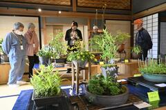 丹精の草花ずらり　