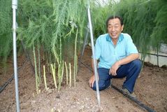 ＜ＪＡなすの＞アスパラ部会（大田原）　若さと耕畜連携で急成長