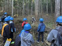 森林資源活用 現場で学ぶ