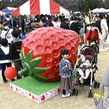 ３月２日は「みぶの日」　とちぎわんぱく公園で親子らイベント満喫　テーマは「いちごとおもちゃ」