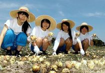 ＜４９＞ＪＡうつのみやの玉ネギ３兄弟　愛称つけて知名度アップ