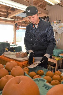 ナシの袋詰めをする阿久津さん
