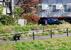 　盛岡市中心部の盛岡城跡公園近くの中津川河川敷から、住宅街に向かうクマ＝２３日午前
