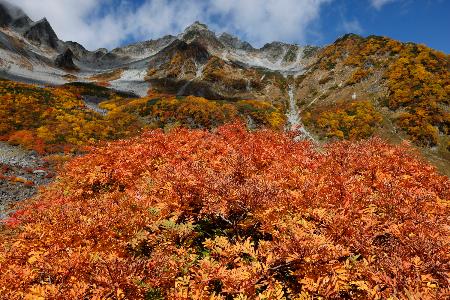 2025年10月8日の涸沢。ナナカマドが真っ赤に染まり、日本一の山岳紅葉といわれます。奥に見える北穂高岳(中央)や涸沢槍(左)とのコントラストが素晴らしかったです。