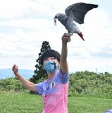 ８戦連続予想的中　那須どうぶつ王国のヨウム「オリビア」　日本のＷ杯勝利を予想