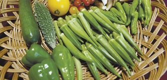 オクラのネバネバで夏バテを予防しようJAなす南 とりたて野菜直売所