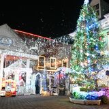 まるでテーマパーク　鹿沼で長年愛されている“本気”のイルミネーション