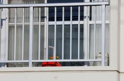 生後１カ月次男を殺害の疑い