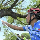 クビアカ被害から桜守りたい　栃木で銀輪愛好家が「捕獲の輪」　練習の合間に駆除