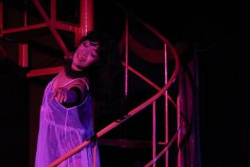 「昭和のエロス」は過去のものなのか、人生を背負って舞台に立つベテラン踊り子の胸中は