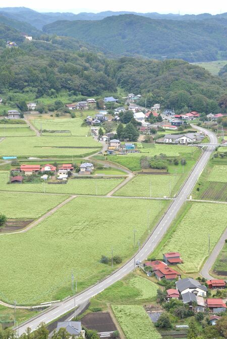 「そばの里まぎの」(中央よりやや右上の灰色屋根の平屋)と、周辺に広がるソバ畑(9月25日撮影)
